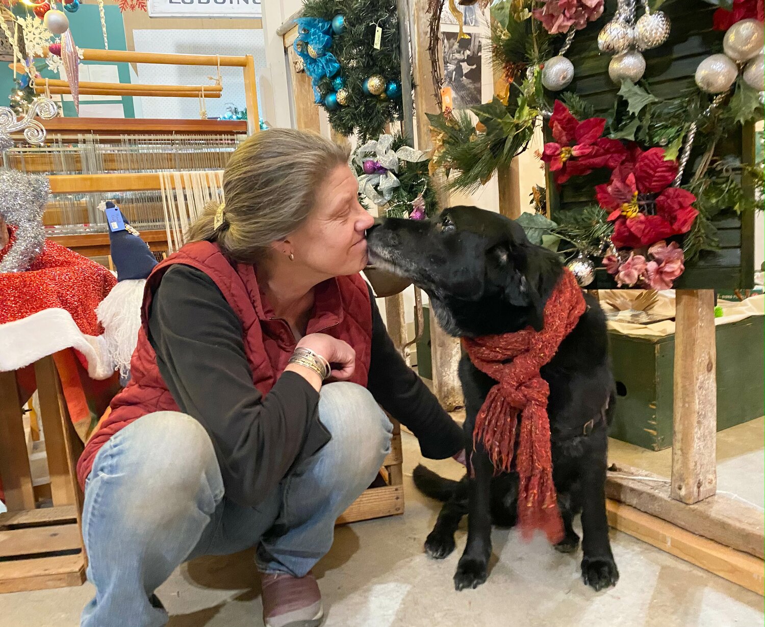 Tempe, an 11-year old Labrador Retriever mix breed, was adopted from the shelter by Heart of the Catskills Director Deb Crute 10 years ago. There are many dogs and cats available for adoption, Crute said.
